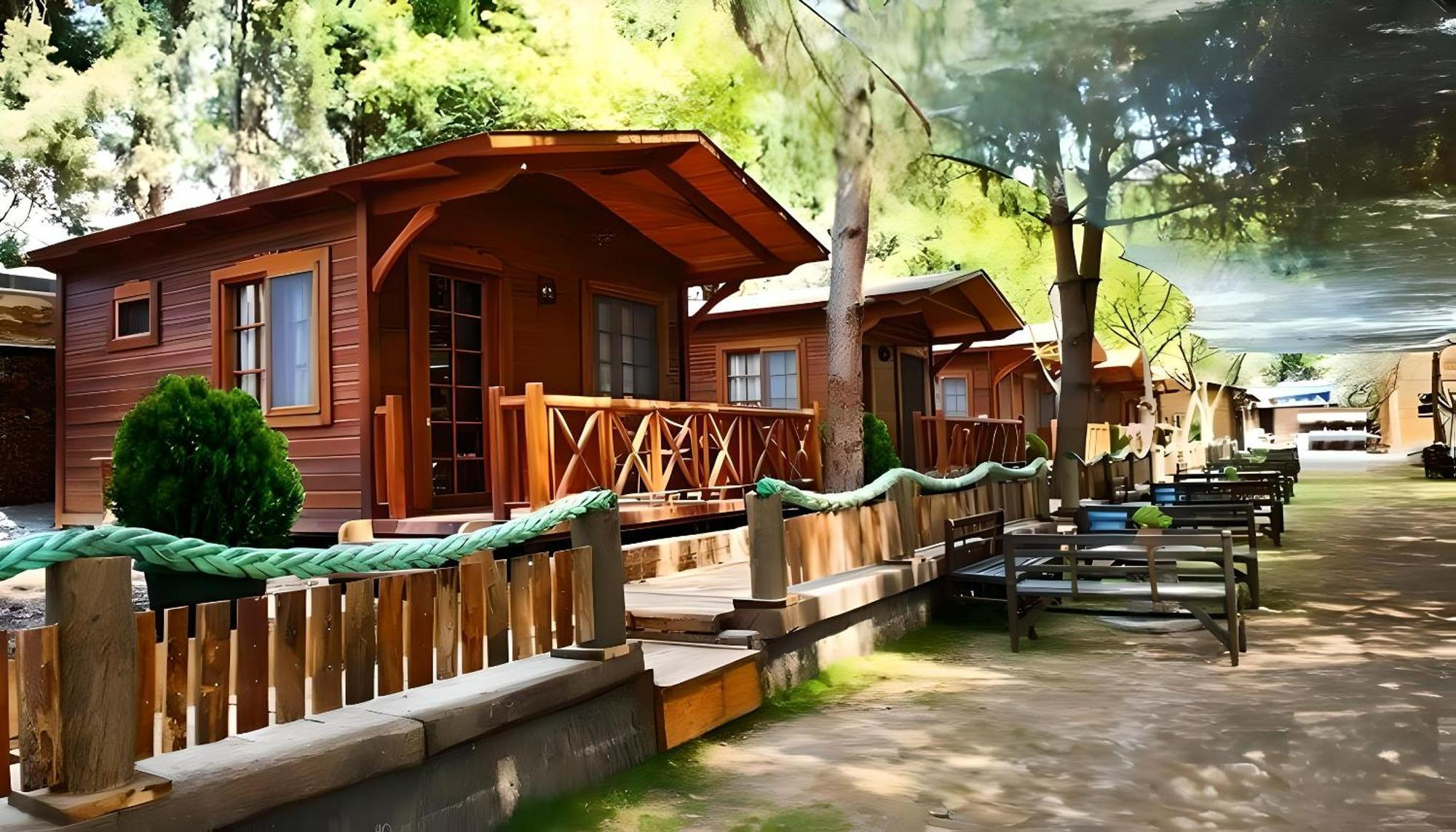 Green House Uzungol Trabzon Kültér fotó
